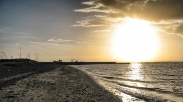 Roenbjerg Harbour